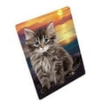 thumbnail image 1 of Siberian Cat Blanket BLNKT110172, 1 of 3