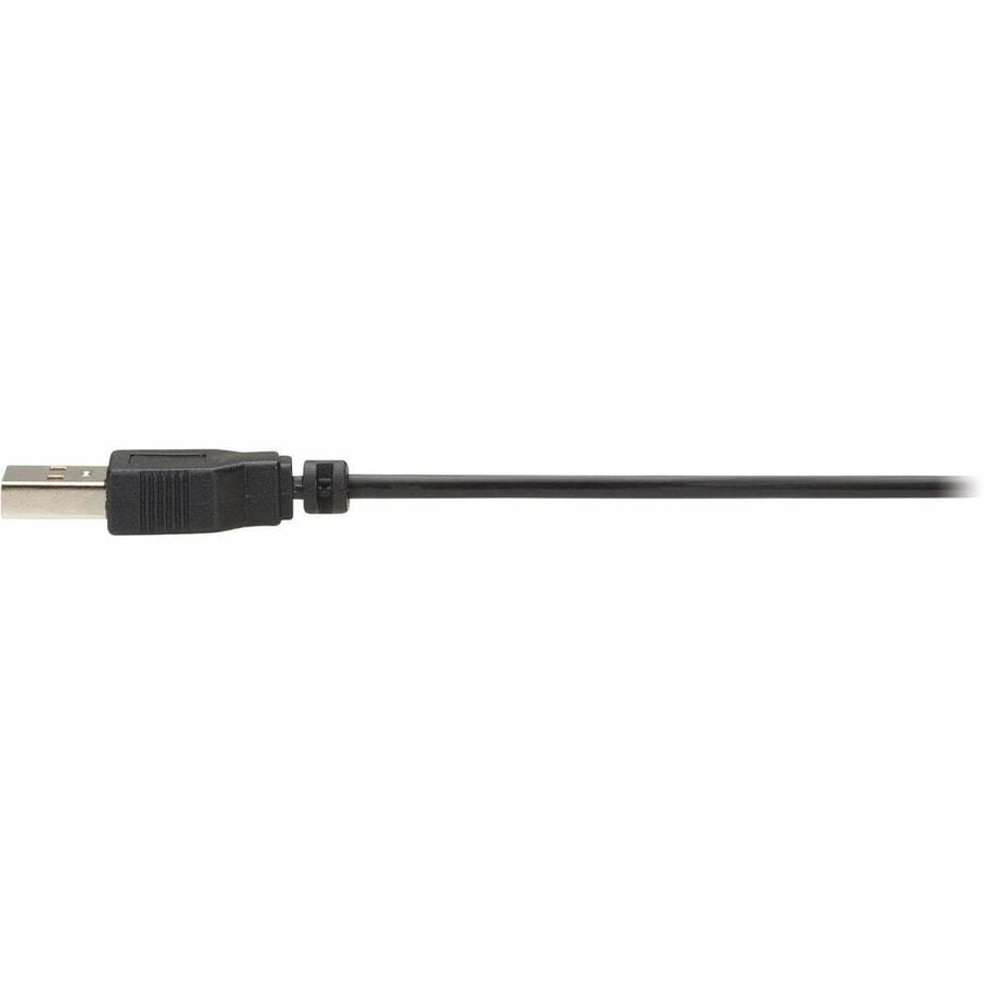Eaton Tripp Lite Series DisplayPort Fiber Extender Terminations for MPO Fiber Optic Cable, 8K 60 Hz, 32.4 Gbps, LSZH, Up to 328 ft. (100 m)