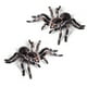 thumbnail image 2 of 6 Piezas 9,5 cm Gran Falso Juguete Modelo de Insecto Araña Realista Divertido Accesorio Aterrador de Halloween, 2 of 5