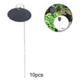thumbnail image 3 of Etiquetas de plantas resistentes a la intemperie, regalo de pizarra, 10 Oval Zulema Etiquetas de plantas, 3 of 7