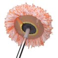thumbnail image 3 of New 360 Spin Mop Adjustable Mop, Multifunctional Floor Mop, Freely Extendable Handles Car Wash Microfiber Mop 26-27s, 3 of 5
