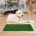 thumbnail image 4 of Moluckfu Alfombra De Césped Artificial Para Perros Reutilizable Fácil De Cortar Y, 4 of 6