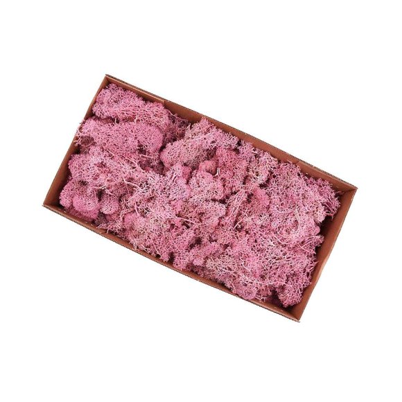 Natural Dried Reindeer Moss Treated Immortal moss Flower Arrangement Norwegian Crafts DIY Floral Decor Pink