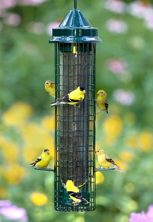 Brome Squirrel Buster Finch Squirrel Proof 1016 Birdfeeder by Brome Squirrel Buster
