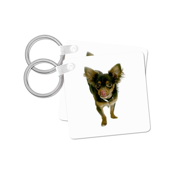 3dRose, Long Hair Chihuahua, set of 2 Key Chains