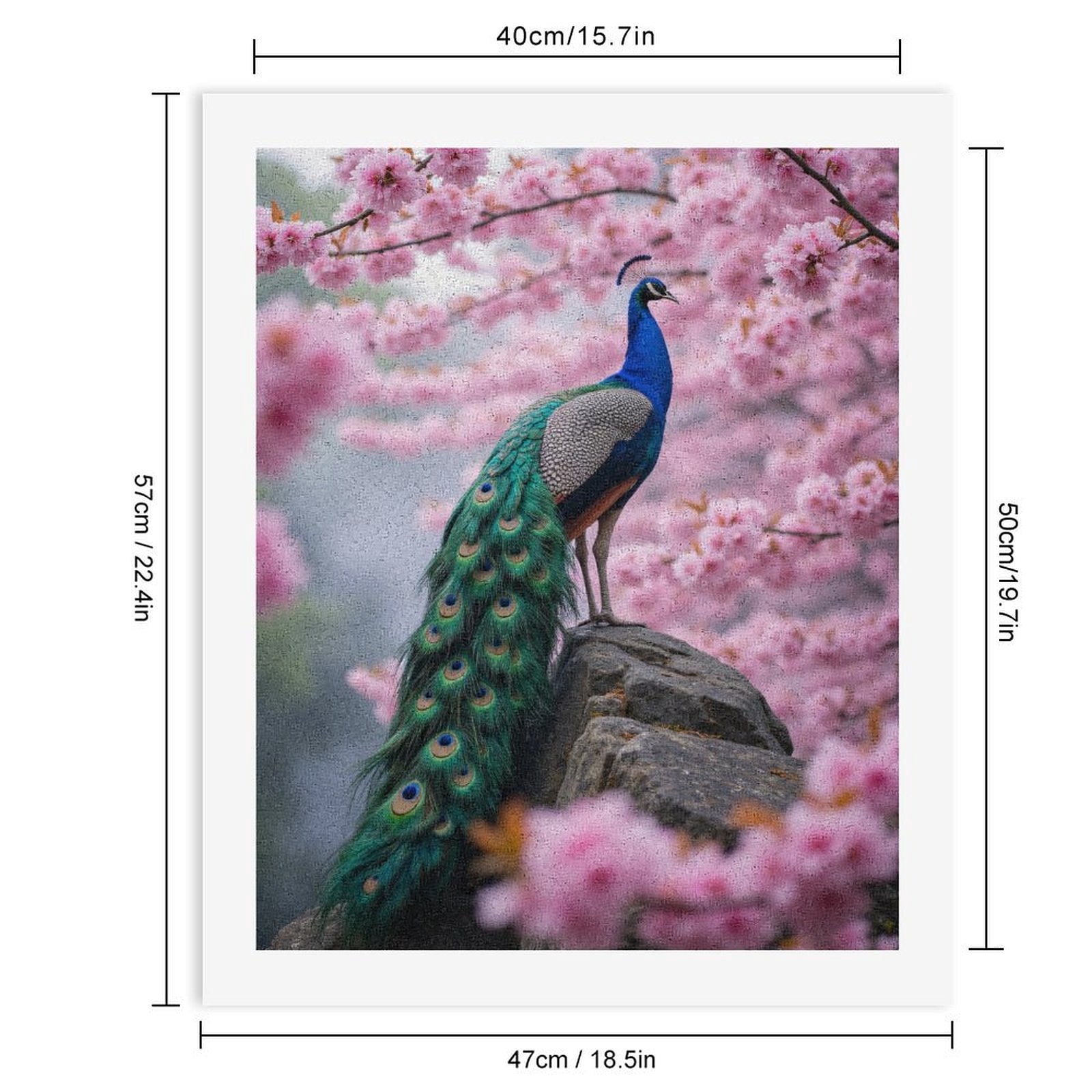Paint By Numbers Kit for Adults Beginner - DIY Peacock Blossoms Spring Rock Nature Canvas Painting Kits for Adults, Frameless Paint By Number for Adults for Home Wall Decor 16x20 Inch
