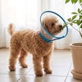 thumbnail image 4 of Transparent Pet Cone Collar, Adjustable Protective Elizabethan Collar, Anti‑Lick Wound Healing Cone For Small Medium Dogs And Cats, 4 of 5