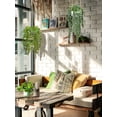 thumbnail image 5 of Artificial Hanging Plants 14 inch Fake Greenery Succulent Potted Plant Ceramic Planter for Home Wall Indoor Outdoor Decor, 5 of 6