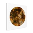 thumbnail image 2 of Bellissimo Art 'Galileos Assistant IV' Canvas Art, 2 of 3