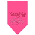 thumbnail image 1 of Naughty But In A Nice Way Rhinestone Bandana Bright Pink Large, 1 of 3