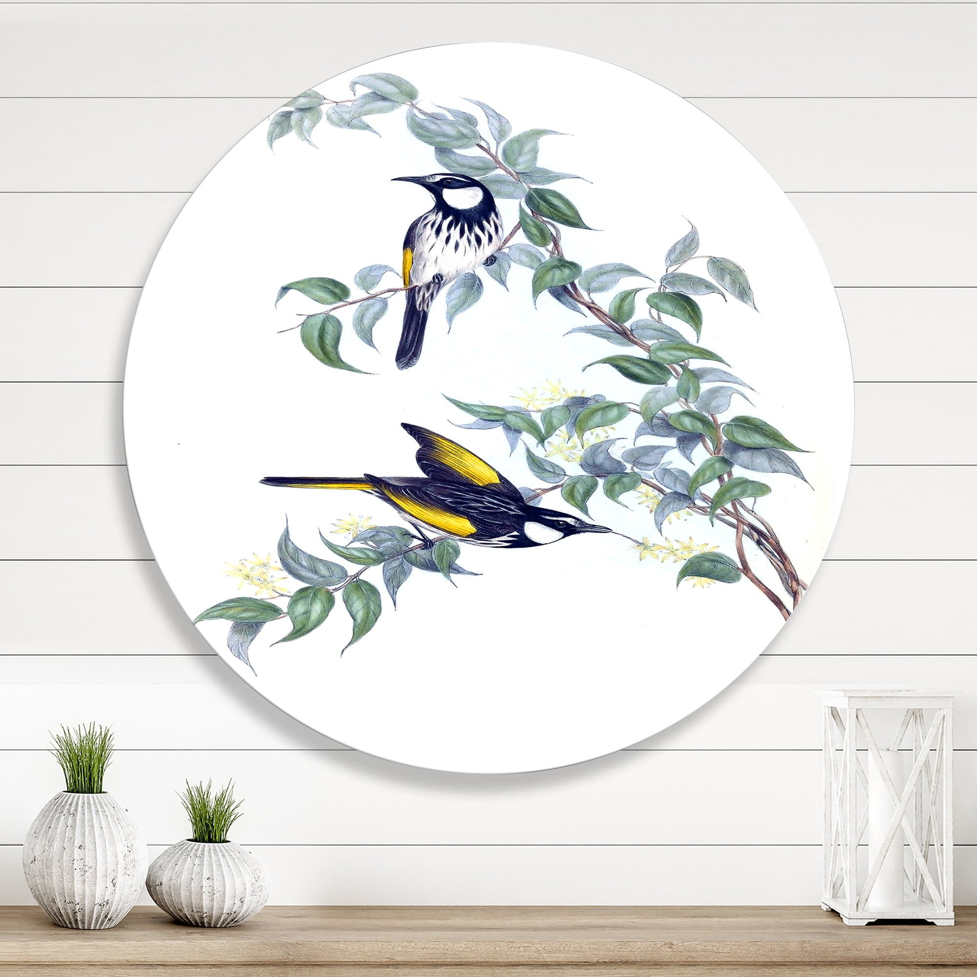 Designart 'Ancient Australian Birds On A Branch' Traditional Circle Metal Wall Art 11x11 - Disc of 11