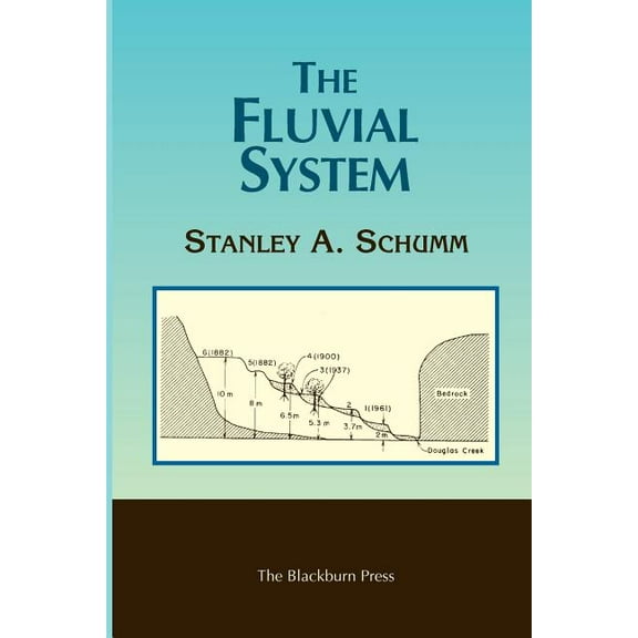 The Fluvial System (Paperback)