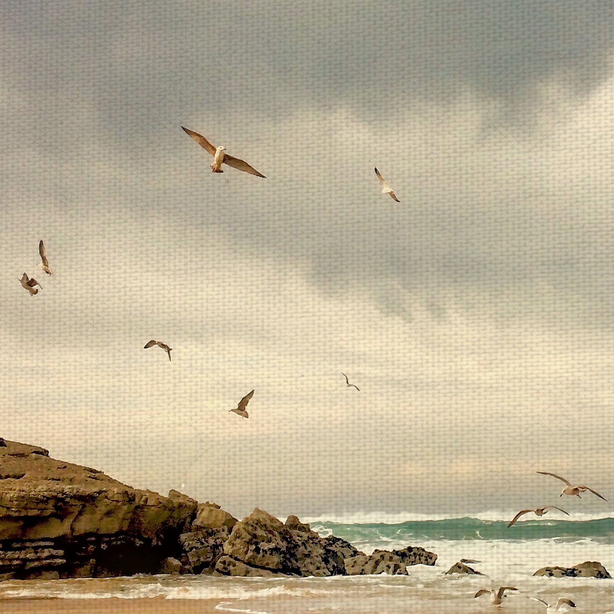 Masterpiece Art Gallery Dawn Beach Flight Seagulls Canvas Art Print 18" x 24"