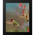 thumbnail image 2 of Fitzharris, Tim 20x24 Black Modern Framed Museum Art Print Titled - Broad Tailed Hummingbirds, 2 of 5