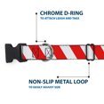 thumbnail image 5 of Buckle-Down Pet Collar, Dog Collar Plastic Buckle, Candy Cane Stripe White Red, 9.5 to 14.5 Inches 0.5 Inch Wide, 5 of 8