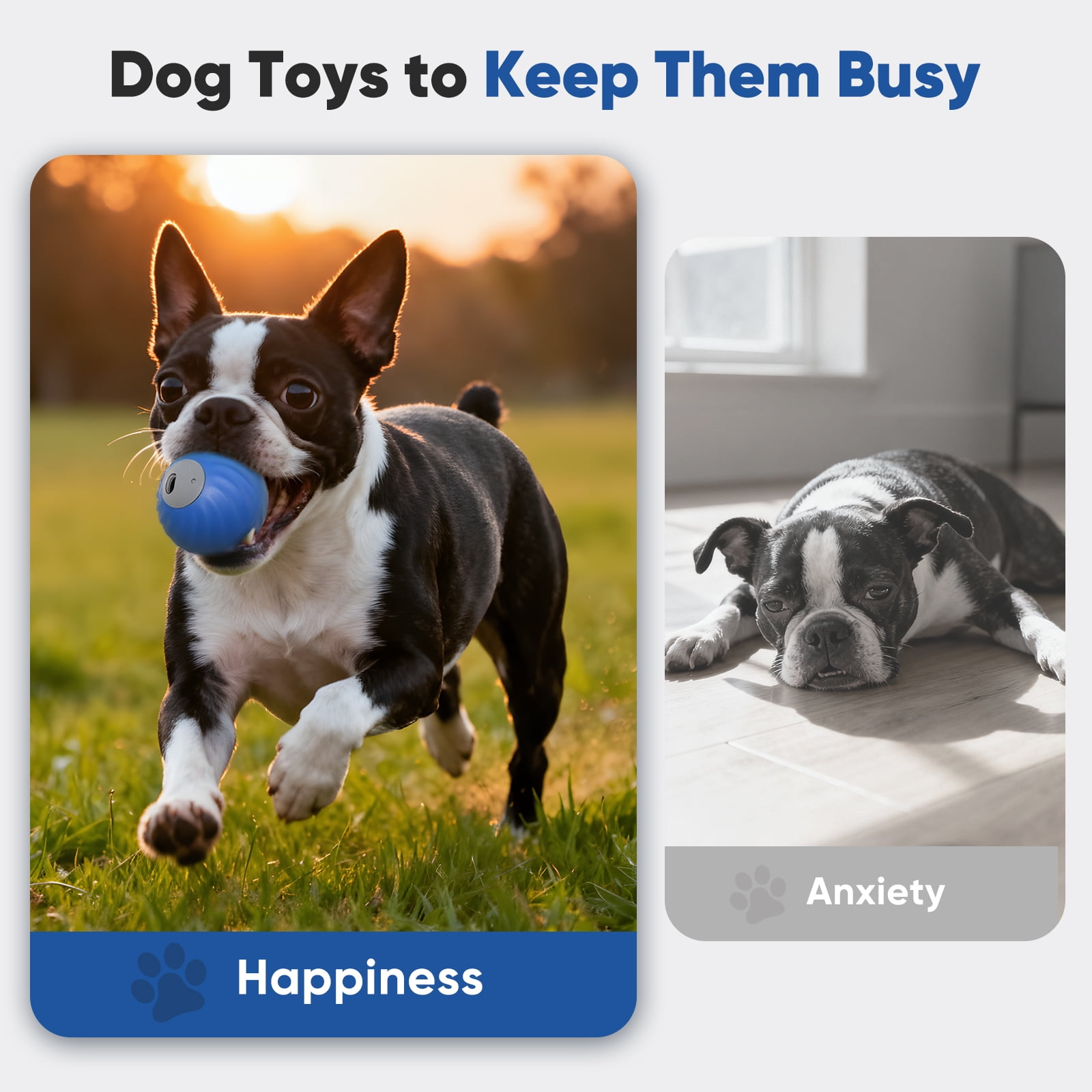 Petbobi Automatic Rechargeable Interactive Dog Ball with Active Rolling Treat Dispensing for Small Medium Dogs, 2.87" Blue