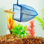Vibrant Life Fish Net, 5