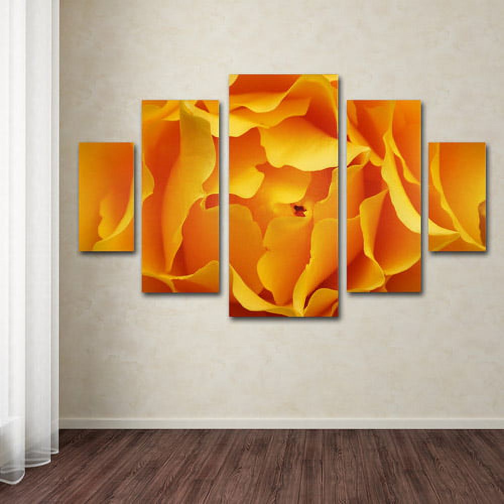Trademark Fine Art "Hypnotic Yellow Rose" Canvas Art Set by Kurt Shaffer, 5pc Panel Set, 58" x 40"