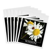3dRose, Wisdom Daisy- Motivational- Floral Photography- Ladybugs, 6 Greeting Cards with envelopes