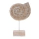 thumbnail image 5 of Adornos de escritorio caseros decorativos de de madera artesanal de estilo náutico Sunnimix Adorno de concha náutica, 5 of 7