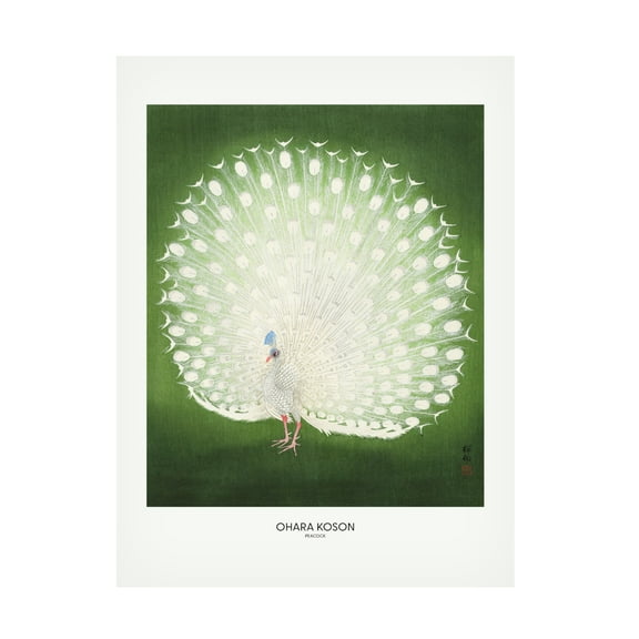 Trademark Fine Art Pictufy Peacock Wide Canvas Wall Art