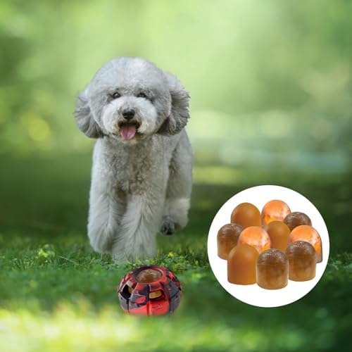 Dog Toy, Frozen Dog Treats to Keep Dogs Busy, Interactive Treat Dispensing Dog Toy Puzzle, Interactive Chew Toys for Puppy Small Medium Dog, Power Chewer, Durable Rubber-Easy to Clean (Medium)