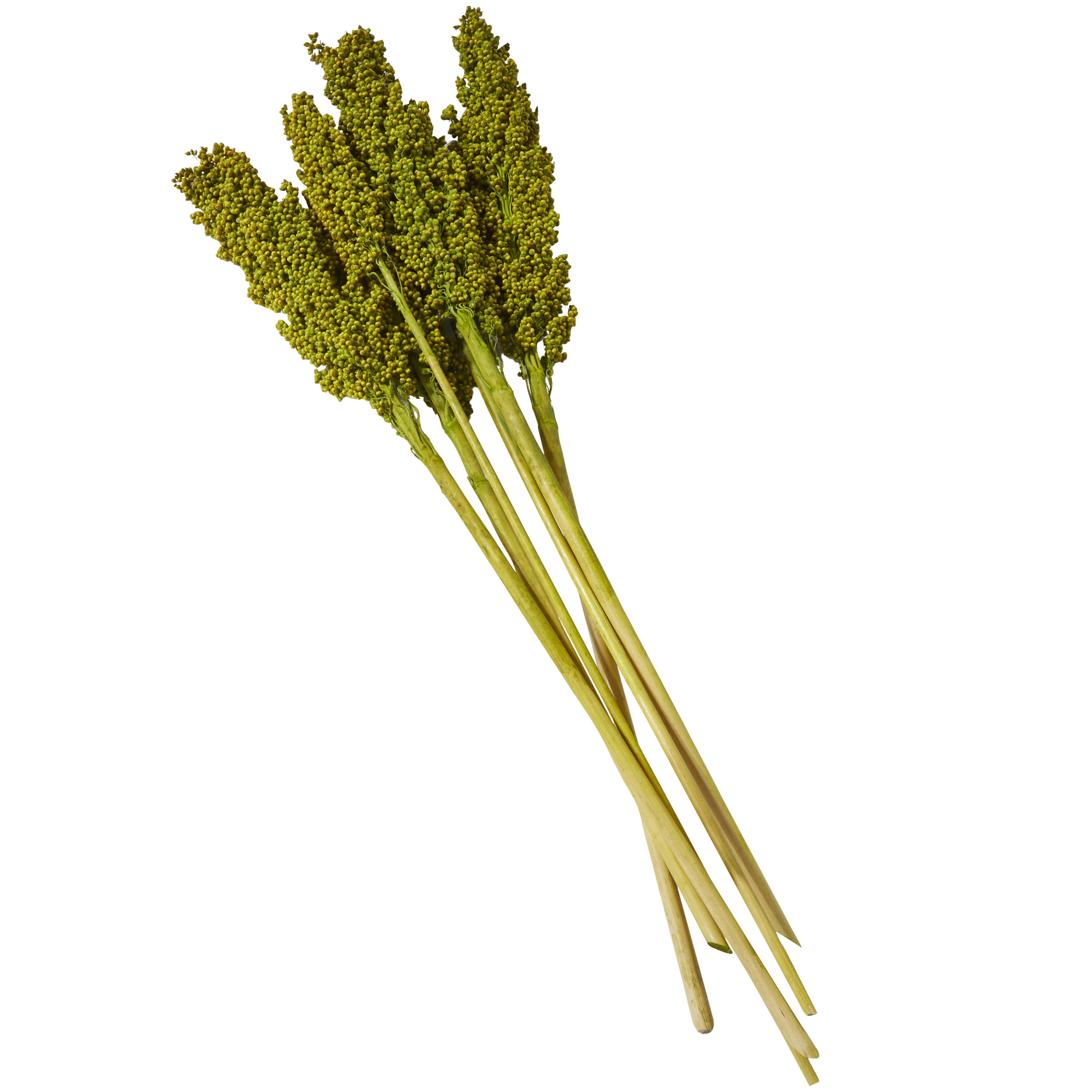 30" Dried Plant Natural Foliage Corn Maze Bouquet with Long Stems, by DecMode