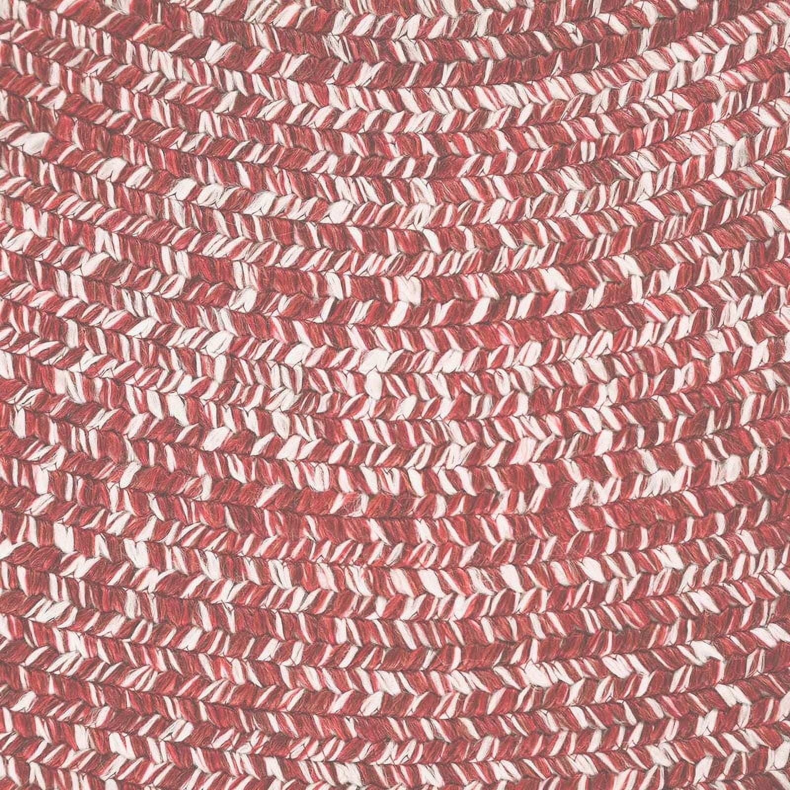 Superior Two-Toned Braided Indoor/ Outdoor Area Rug, Brick/ White, 6' x 9'