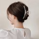 thumbnail image 5 of Pinzas de pelo de perla, pinzas de pelo de sujeción fuerte, pinzas de pelo grandes, pasadores antideslizantes, regalo de cumpleaños, accesorios para el cabello para mujeres, niñas, (paquete de 4), 5 of 5