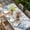 light blue, variant on Blue Coastal Table Cloths for 8 Foot Rectangle Tables, Summer Beach Starfish Weeping Eucalyptus Wooden Patio Waterproof Elastic Fitted Tablecloths, Washable Rectangular Table Cover for Camping
