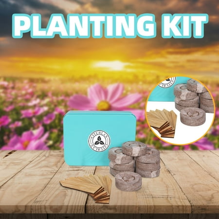 

Family Potted Plant Set Potted Landscape Introduction Indoor Plant Growth Set Christmas Halloween Decorations Outdoor Led Lights Wall Stickers Fall Home Decor Kitchen Essentials XYZ 17506