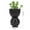 C, variant on Bwiyojiz Vases Flower Pot Face Gardening Garden Home Decoration Ornaments, Gifts for Friend, Black