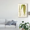 thumbnail image 3 of Trademark Fine Art 'Garden Ferns III' Canvas Art by Vision Studio, 3 of 4