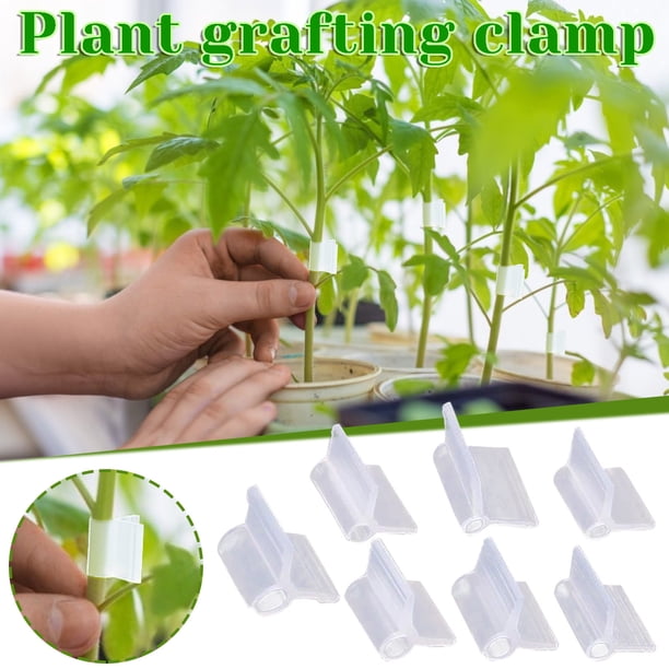 Xihbxyly Pinza para Injertar Tomates, Solución Eficiente para Plantar, Material Suave y No Tóxico, Diseño Fácil de Usar, Juego de Herramientas de Jardinería, Kit de Injerto Multiusos, 100 Unidades Po