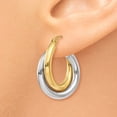 thumbnail image 3 of Auriga 14k Two-Tone Gold Double Tube Hoop Earrings for Women(L- 14mm, W- 7mm), 3 of 6
