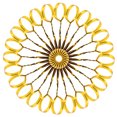 thumbnail image 6 of Raindrops Gold Metallic Twist Ties for Storage Durable PET and Iron Wire Bundling Solution with Shiny Appearance 1600pcs, 6 of 8
