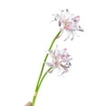thumbnail image 2 of Opvise 2Pcs Artificial Red Spider Lily Realistic Fake Silk Flower Wedding Home Office Table Centerpiece Faux Floral Branch Flower Arrangement Decoration, 2 of 8