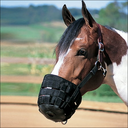 2345 Leather - AVERAGE HORSE WEAVER NYLON RUBBER LINED GRAZING MUZZLE W/ LEATHER CROWN BLACK