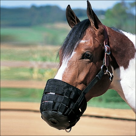 AVERAGE HORSE WEAVER NYLON RUBBER LINED GRAZING MUZZLE W/ LEATHER CROWN (Best Friend Grazing Muzzle Fleece Cover)