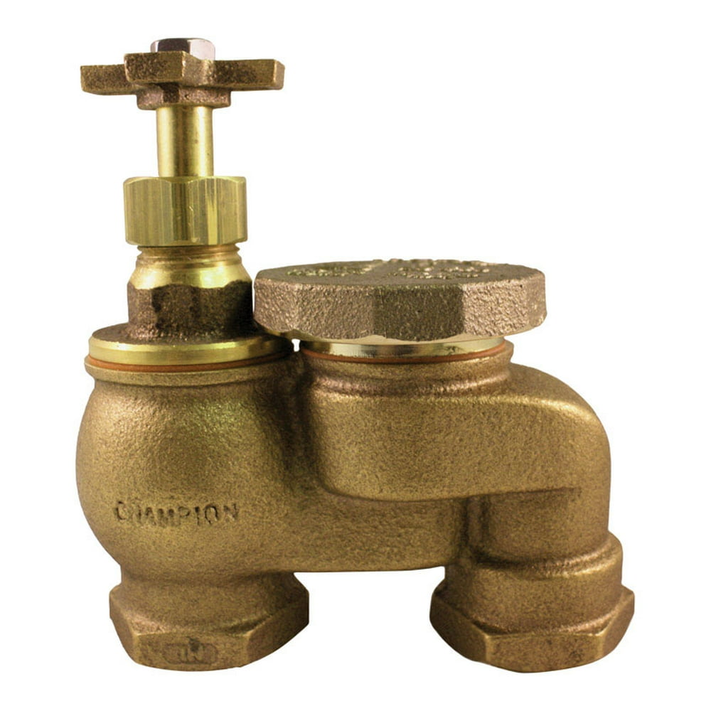 Champion Anti-Siphon Valve 3/4 in. 150 psi - Walmart.com - Walmart.com