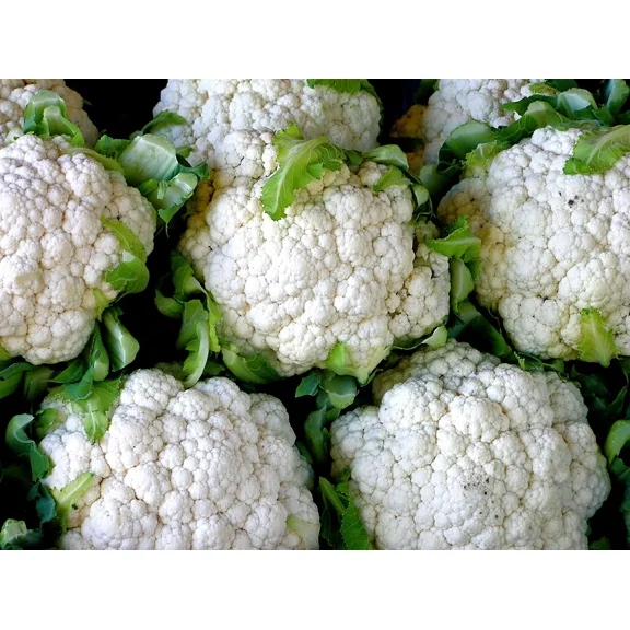 500 Cauliflower Snowball y Improved Seeds - Heirloom Non-GMO Cauliflower Seeds