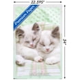 thumbnail image 3 of Keith Kimberlin - Kitten 09 Wall Poster, 22.375" x 34", 3 of 4