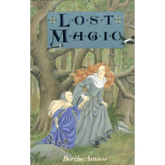 Pre-Owned Lost Magic /Berthe Amoss (Hardcover) 1562825739 9781562825737