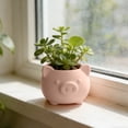 thumbnail image 4 of Hovilon Mini Pig Shaped Planter with Drainage Hole, Pink Plastic Cute Animal Plant Pot, Small Indoor Flower Container for Home Office Desk Windowsill, Decorative Cactus Herb Planter Accent, 4 of 6