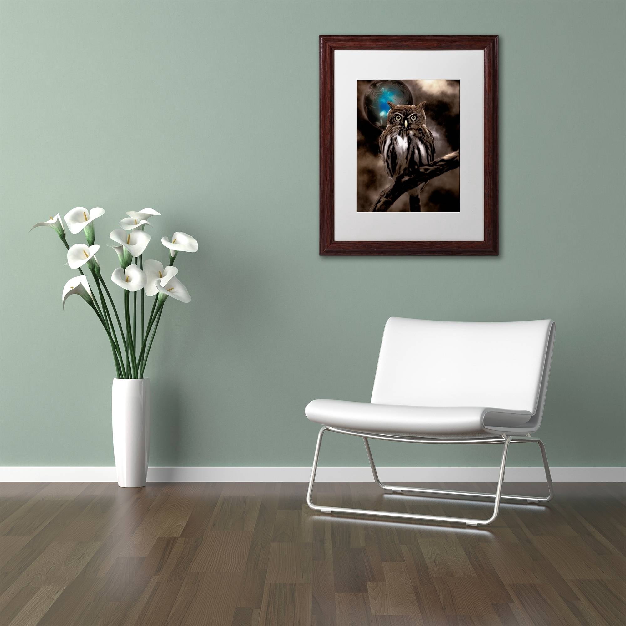 Trademark Fine Art "Night Owl" Canvas Art by Color Bakery White Matte, Wood Frame