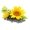 thumbnail image 2 of Todd's Seeds Black Oil Sunflower Sprouting Seeds, One Pound, Shell On, Microgreen Sprouts, Non-GMO, Chemical Free, Hand Packed, USA grown for sprouting, 2 of 6