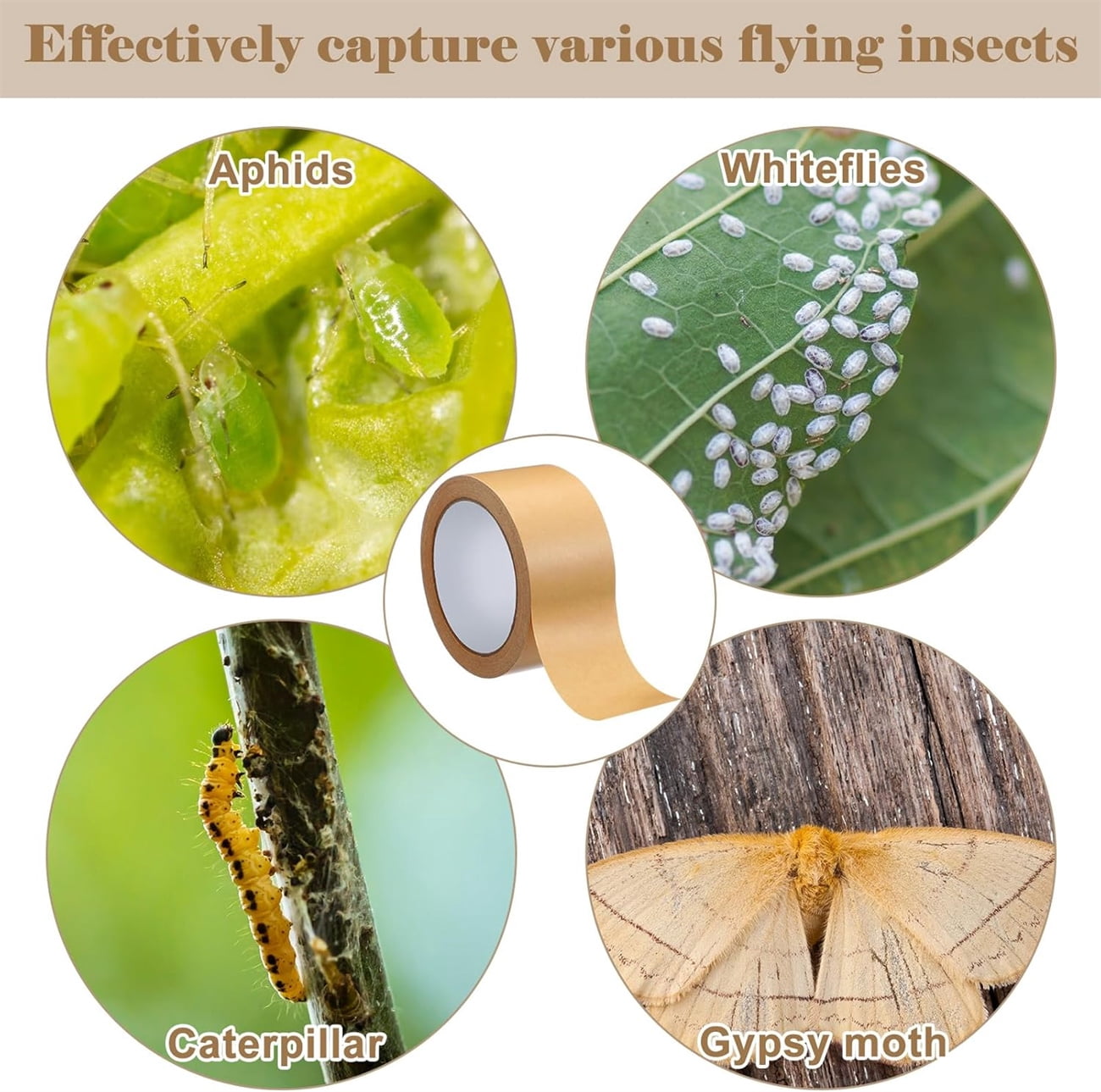 198 Ft x 2 Inch 2 Rolls Tree Protector Wrap Roll,Bexikou Cicada Tree Wrap Protection Tape,Tree Trunk Wrap Protector,Crawling Insect Tree Tape for Protecting Fruit Trees Plants Outdoor Lawn Garden