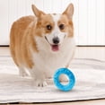 thumbnail image 5 of Darzheoy Pet Teether Cooling Chew Toys, Freezable Teething Toy for Puppies, Freeze Interactive Toys in Summer, Frozen Dog Treat Training Tools for Small and Medium Dogs, 5 of 6