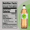 thumbnail image 2 of Seagrams Diet Zero Sugar Ginger Ale Soda Pop, 2 Liter Bottle, 2 of 9