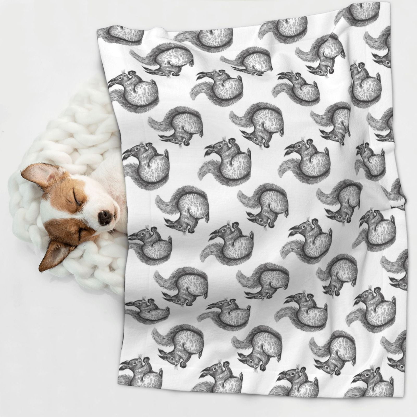 Naloa Black Squirrel Dog Blanket, 3 Sizes Cat Blanket for Indoor Cats Large Medium Small Dog Gifts-Small